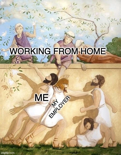 The serene dream vs. the chaotic reality of remote work