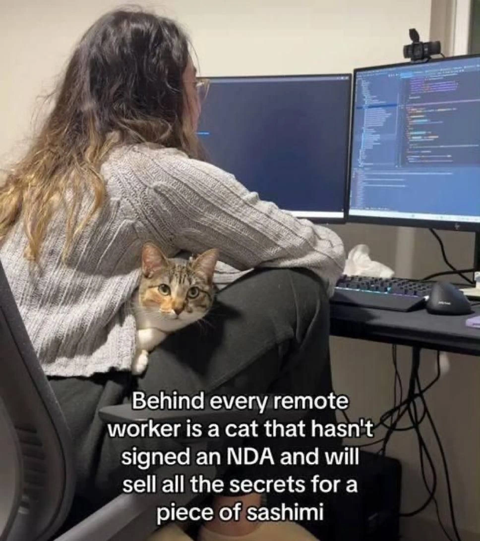 The Feline-in-the-Middle Security Vulnerability
