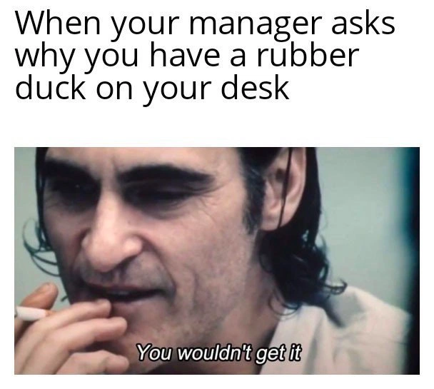 Explaining Rubber Duck Debugging to Management