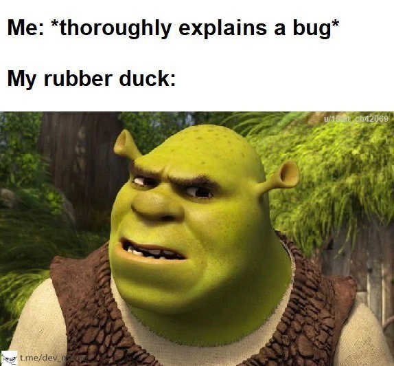 The Judgmental Rubber Duck