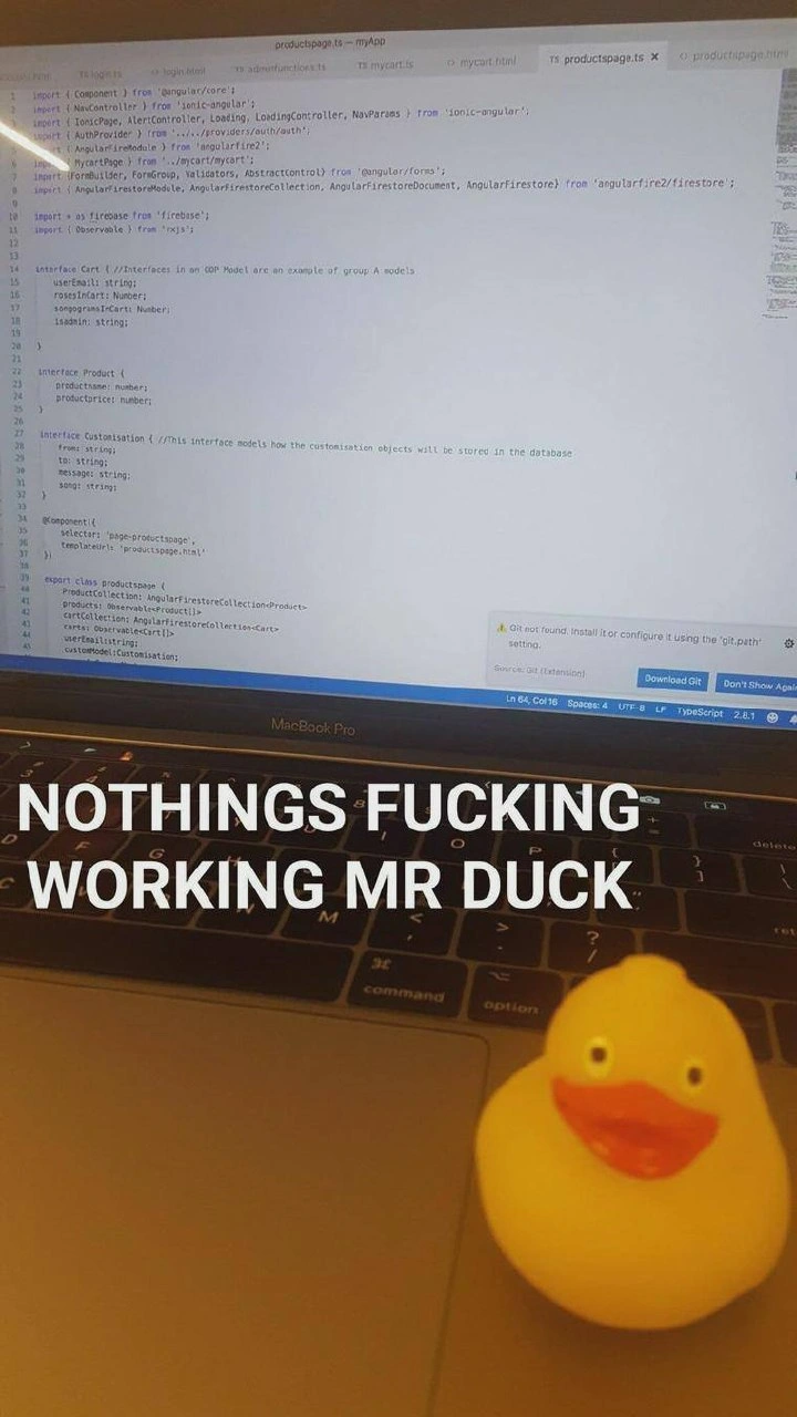 Rubber Duck Debugging Reaches Its Breaking Point: 'Nothings Working Mr Duck'