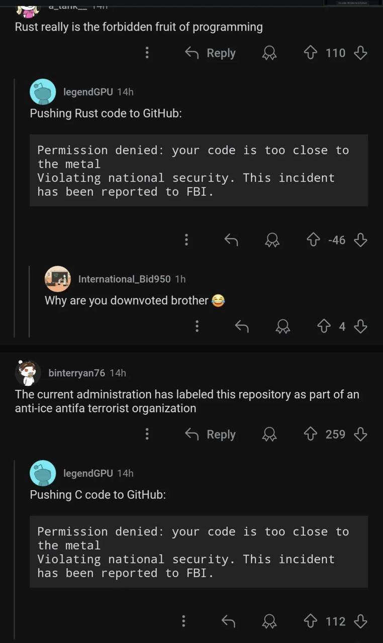 Rust and C Code Permission Denied for Being Too Close to the Metal