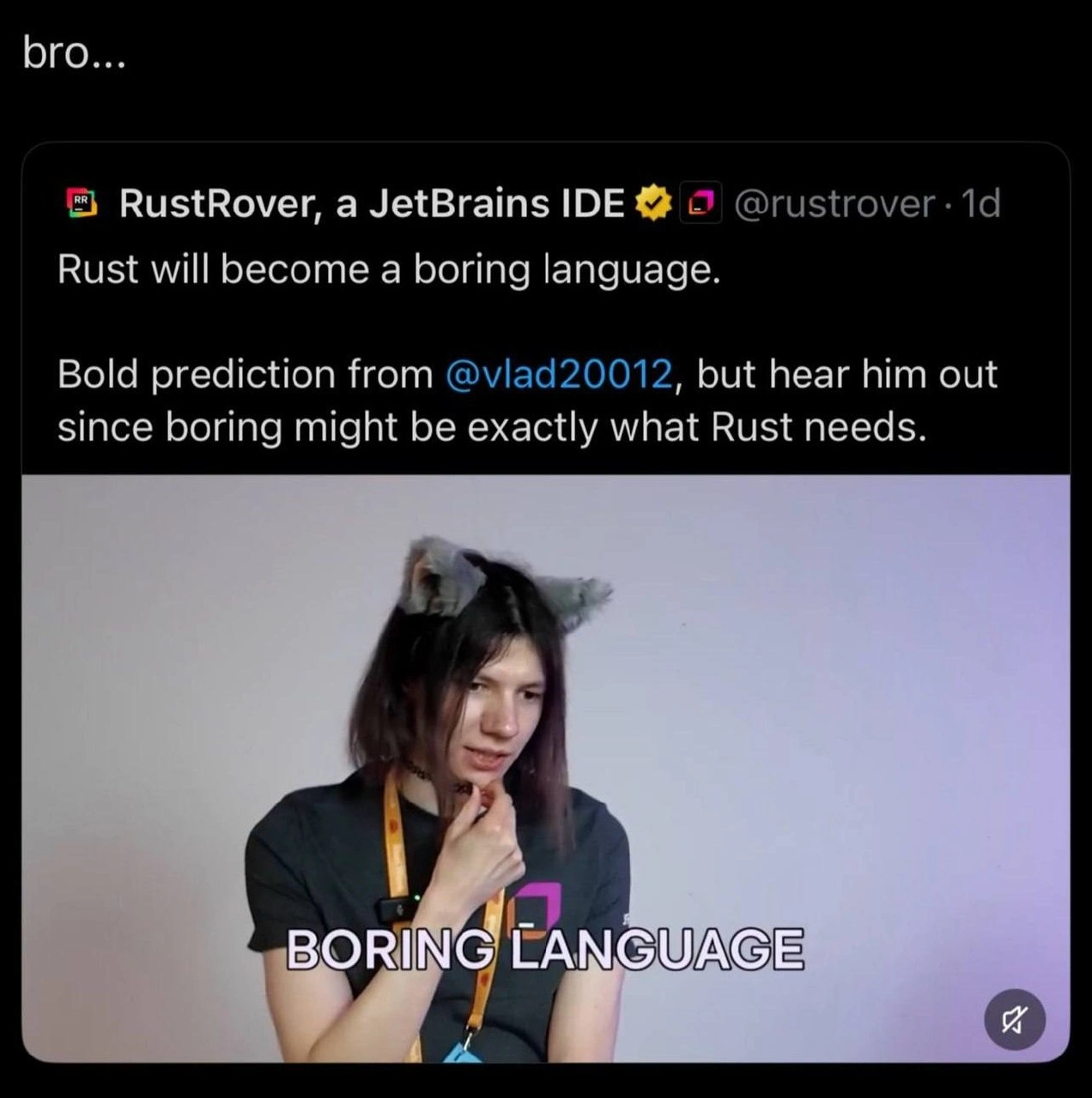 RustRover Amplifies 'Rust Will Become a Boring Language' Catgirl Take