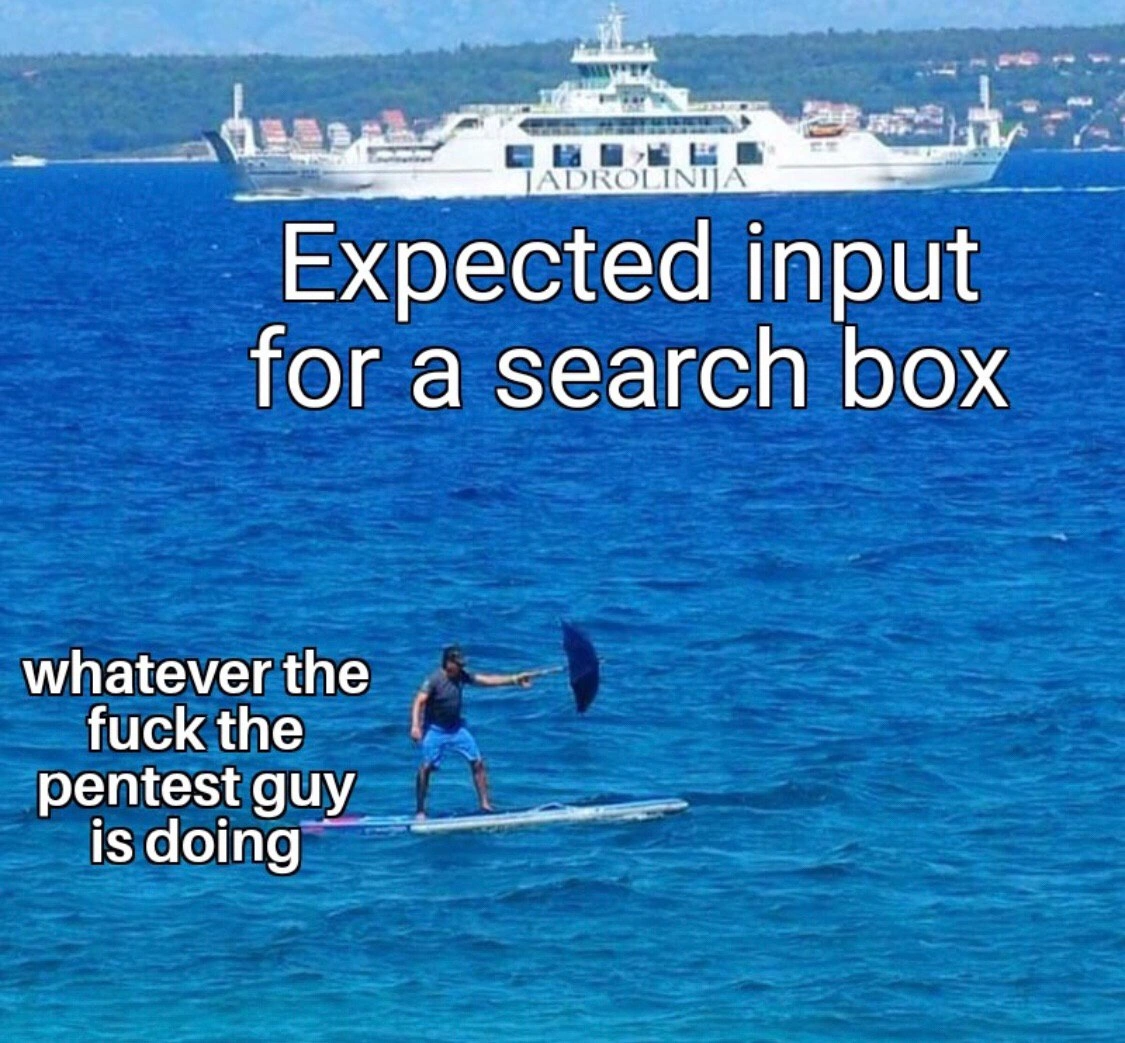 Expected User Input vs. Penetration Tester's Reality