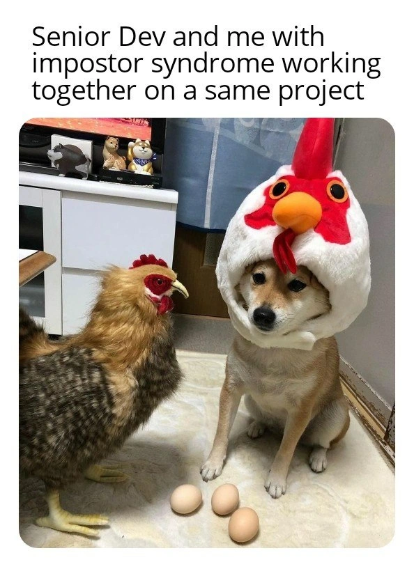 Pair Programming with a Senior Dev When You Have Impostor Syndrome
