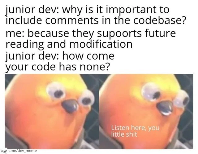 Senior Devs on Code Comments: Do As I Say
