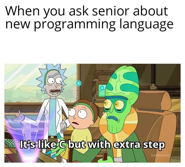 Senior Devs on New Languages: Just C with Extra Steps