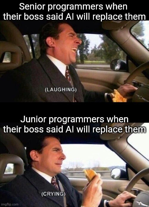 Senior vs. Junior Developers Reacting to AI Job Replacement Threats