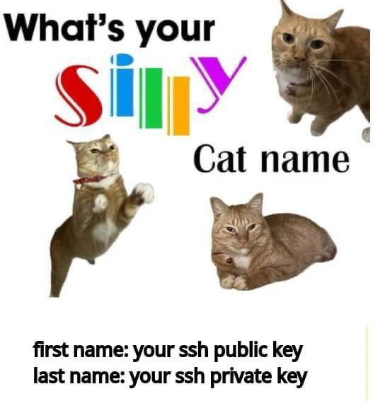Silly Cat Name: SSH Public and Private Keys
