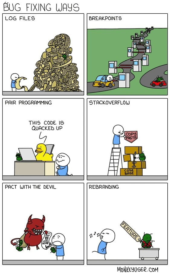 Six comedic developer bug-fixing strategies: logs, breakpoints, ducks, StackOverflow, demons, rebranding