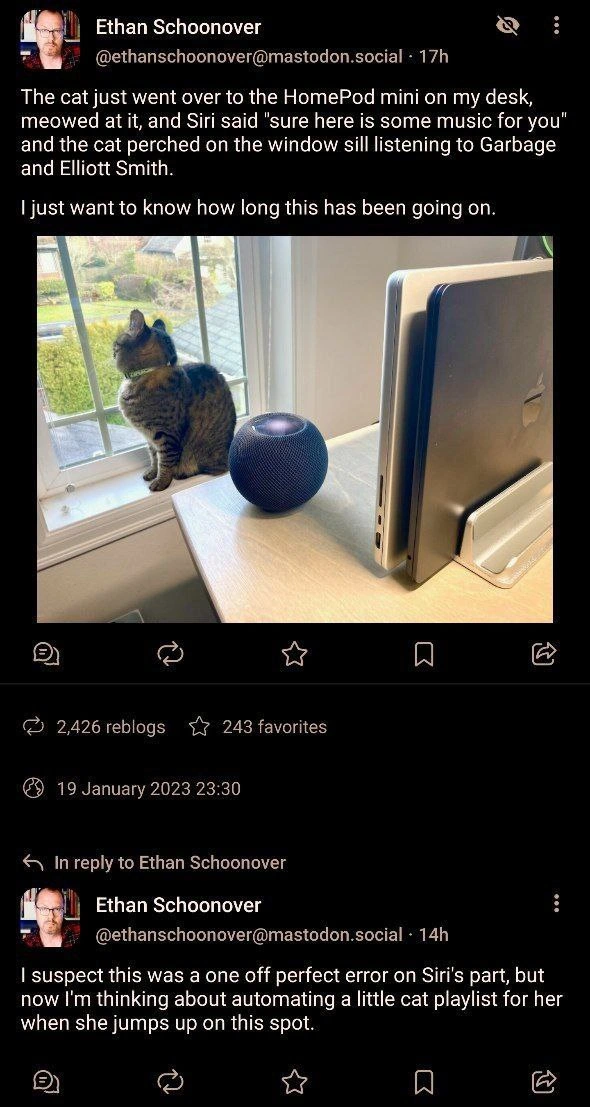 Cat accidentally summons Siri and inspires automated feline playlist idea