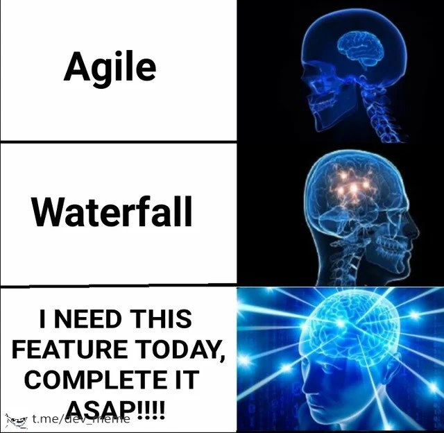 The True Apex of Project Management Methodologies