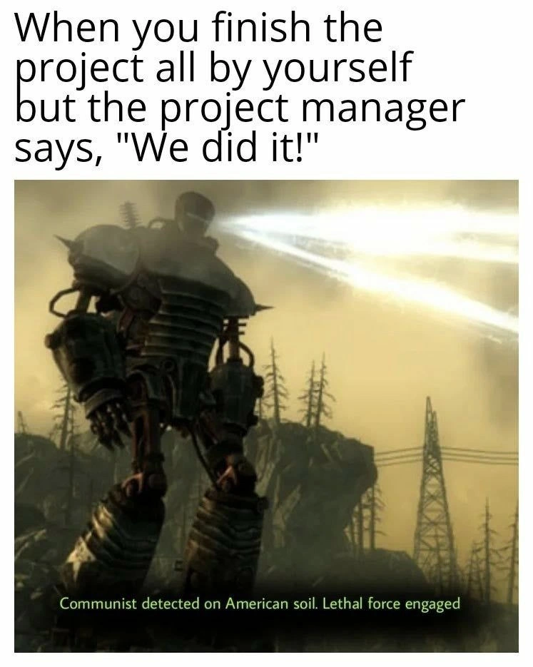 When the Royal 'We' from Project Management Goes Too Far