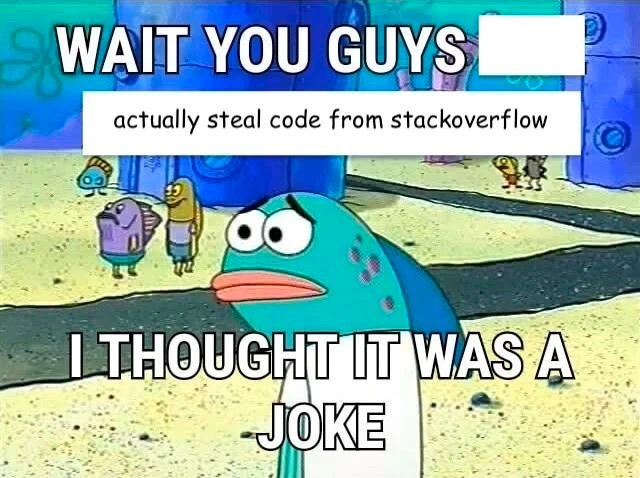 When you learn devs really copy StackOverflow code, fish disbelief ensues
