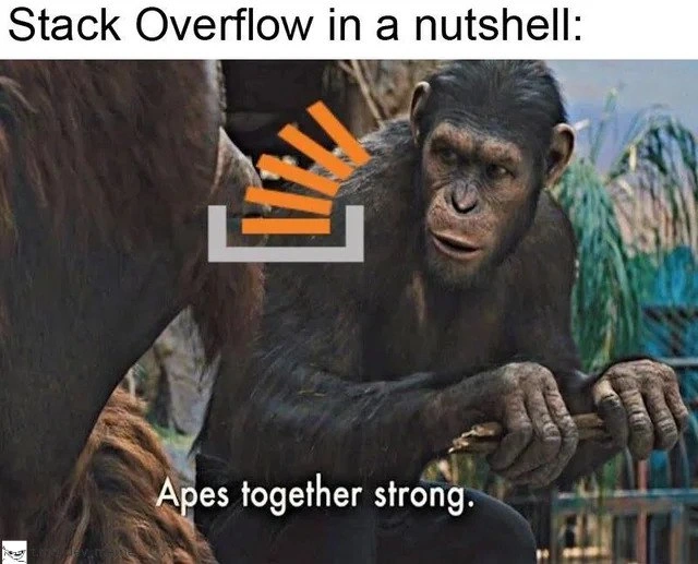 Stack Overflow: Apes Together Strong