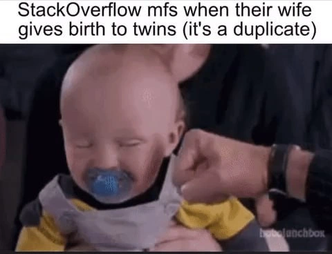 StackOverflow devs treating newborn twins as duplicate questions IRL meme