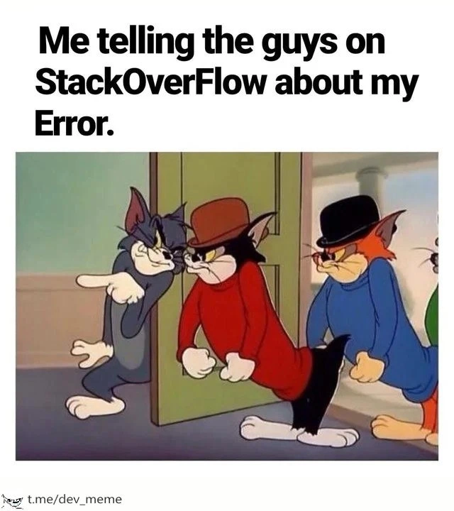 Facing the StackOverflow squad after posting your cryptic runtime error