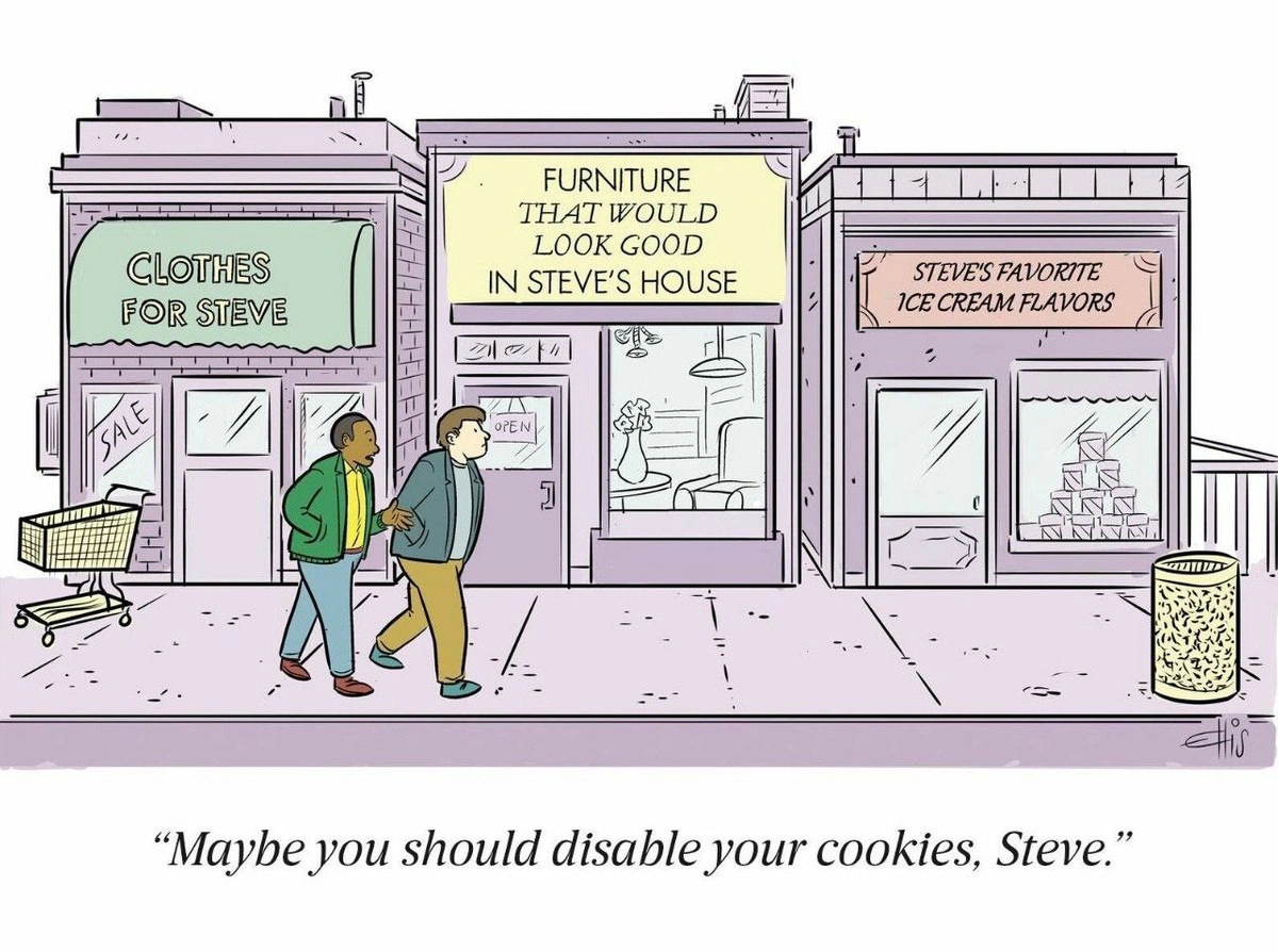 Steve Learns About Tracking Cookies