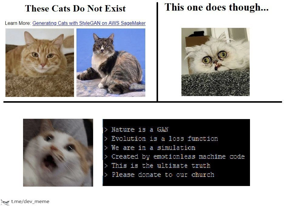 AI Cats and the Birth of a Techno-Religion