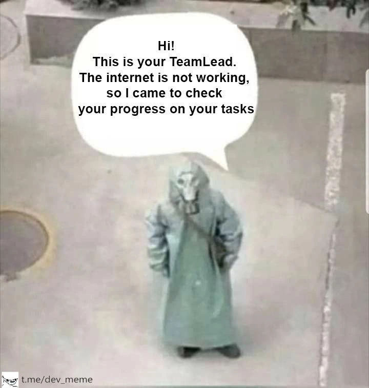 Your Team Lead During a Network Outage in 2020