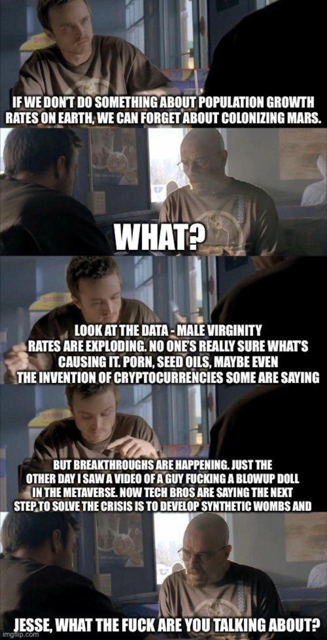 Tech Bro Logic: A Wild Rant from Crypto to Metaverse Wombs