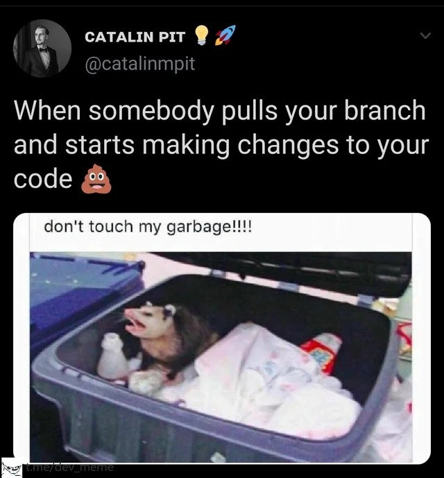 When your Git branch feels like treasured trash guarded by an angry possum