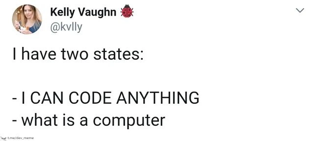 The Duality of the Developer Mind
