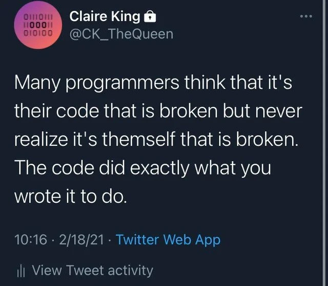 The Programmer, Not the Code, Is the Real Bug