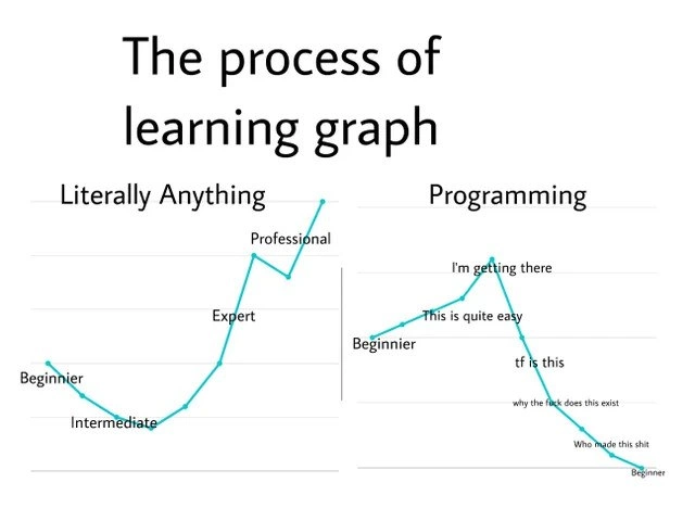 The Programming Learning Curve: A Nosedive into Humility