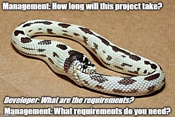 The Infinite Loop of Vague Requirements