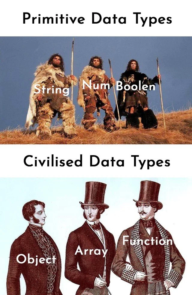 From caveman primitives to top-hat objects: the data type class divide