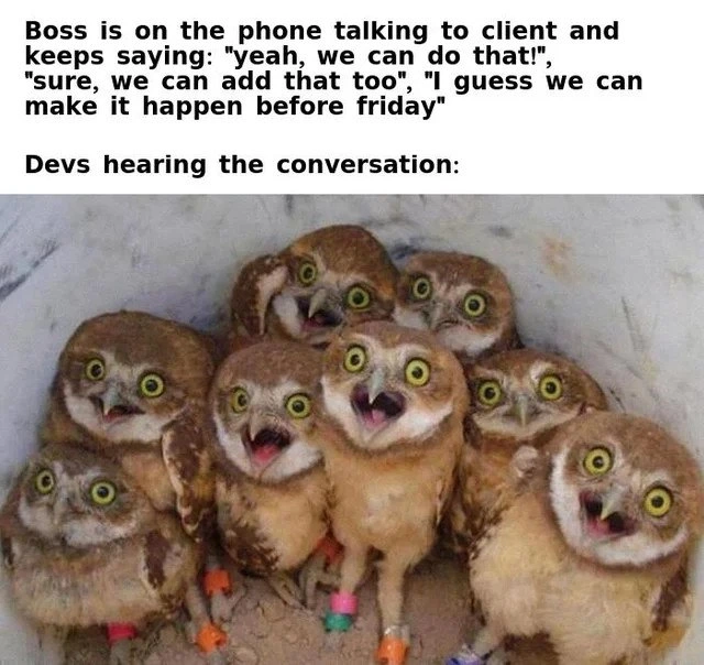 The Silent Scream of Scope Creep