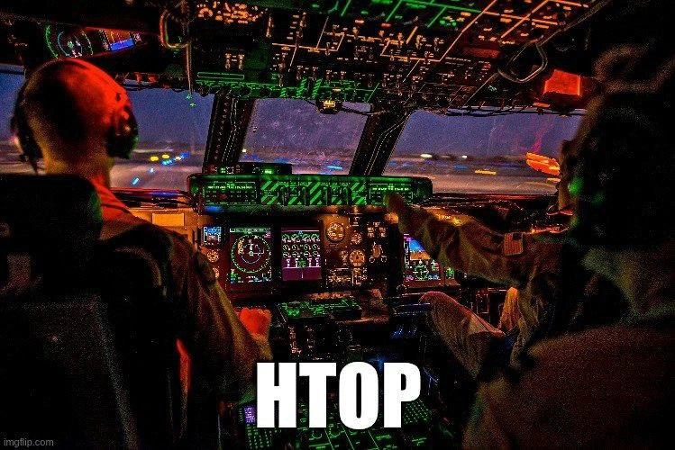 The htop Cockpit: When Monitoring Feels Like Flying a C-130
