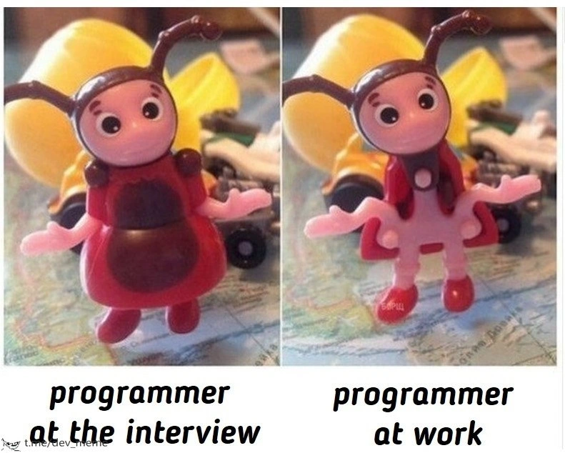 Programmer Persona: Interview vs. Reality