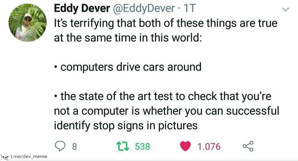 The AI Paradox: Driving Cars vs. Clicking Images