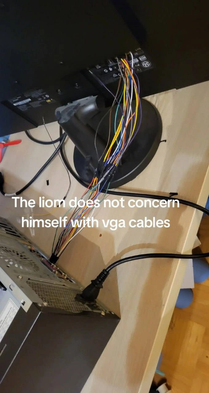 The Lion Does Not Concern Himself With VGA Cables