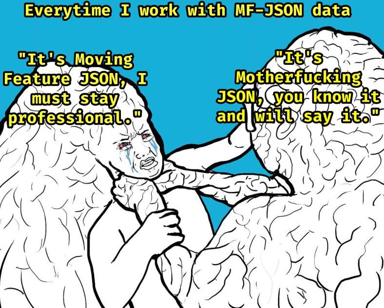 The Internal Struggle of Every Developer Working with MF-JSON Data