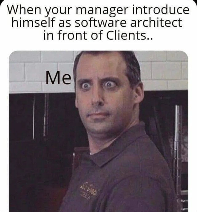 The Sudden Software Architect