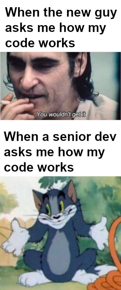 Explaining Your Code: Juniors vs. Seniors