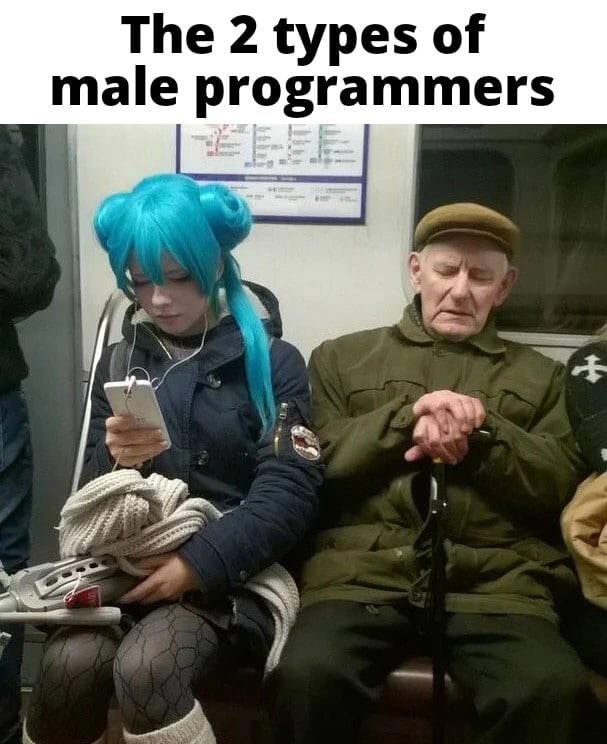 Meme contrasting the two stereotypical archetypes of male programmers on a subway