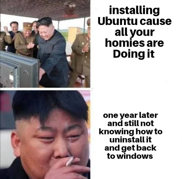 The Enthusiastic Ubuntu Install and The Inevitable Windows Retreat