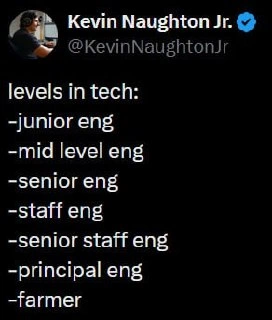 Tech career ladder meme ends with the surprise “farmer” level