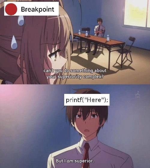 Breakpoint vs printf Debugging: The Superiority Complex Meme