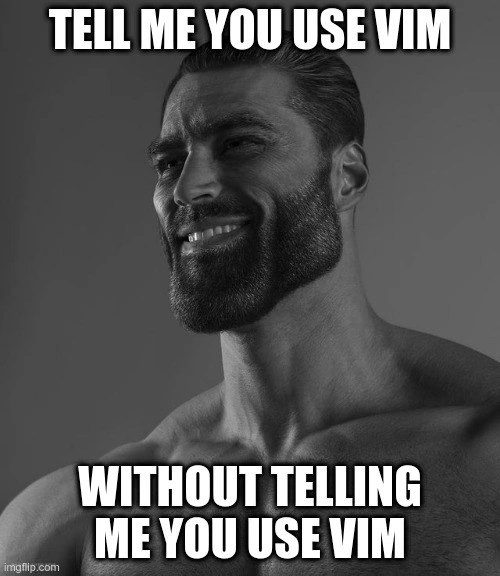 The Unspoken Superiority of a Vim User