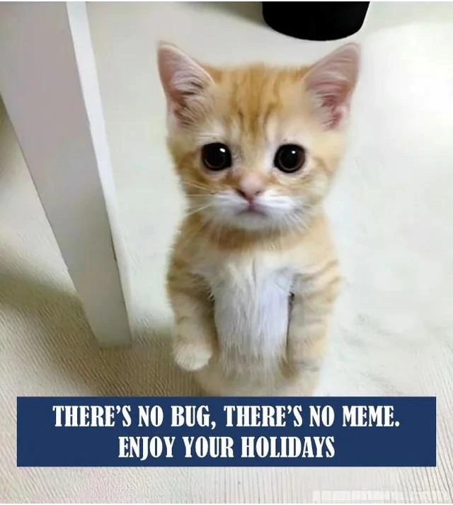 There's No Bug, There's No Meme -- Enjoy Your Holidays, Dev