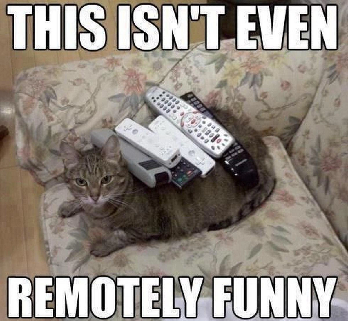 This Isn't Even Remotely Funny