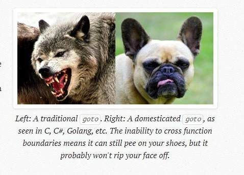 From feral goto to domesticated goto: control-flow evolution in modern languages
