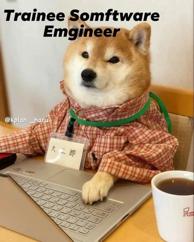 Onboarding Day for the New 'Somftware Emgineer'