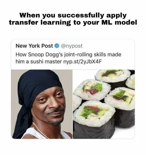 Snoop Dogg Demonstrates Transfer Learning