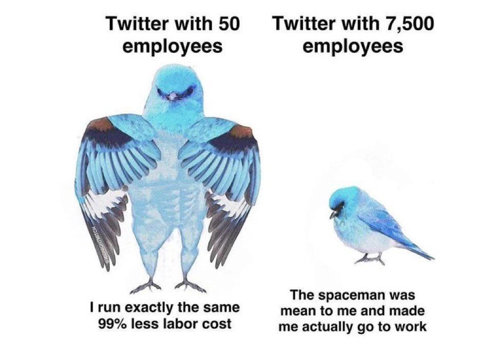 Buff Twitter bird mocks headcount as productivity after mass layoffs
